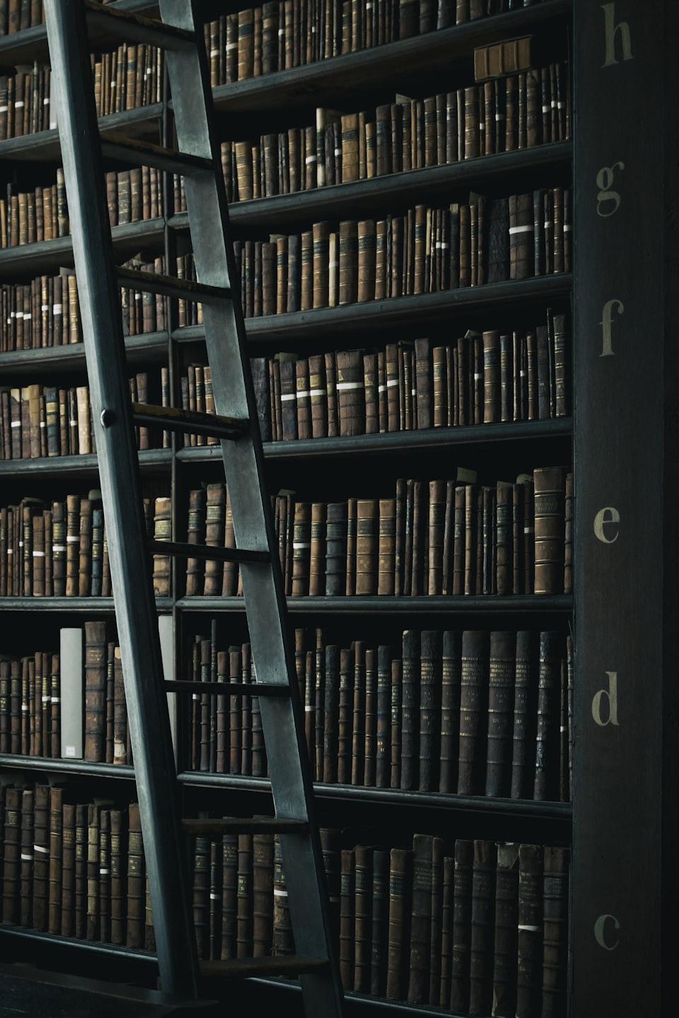 Registro de atividade literária